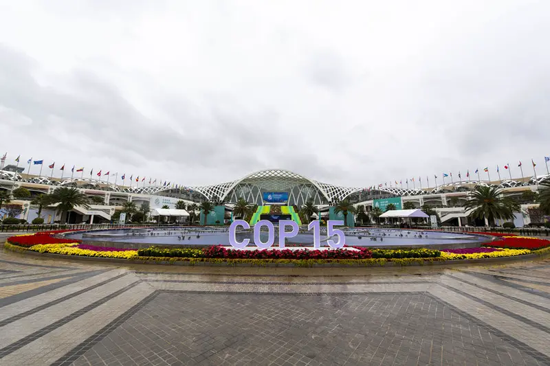 The 15th meeting of the Conference of the Parties to the U.N. Convention on Biological Diversity (CBD COP15) kicks off in Kunming, southwest China’s Yunnan province, on Oct. 11, 2021. (Photo by Weng Qiyu/People’s Daily Online)