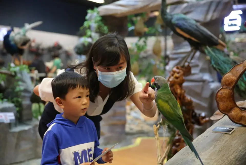 A boy watches a rare bird specimen at the Kunming Natural History Museum of Zoology, southwest China's Yunnan province, May 15, 2021. (Photo by Liang Zhiqiang/People's Daily Online)