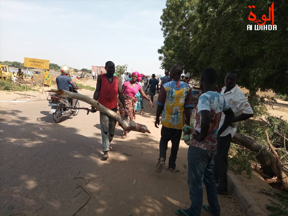 N'Djamena : un déracinement d'arbres entraîne une bagarre pour le bois de chauffe