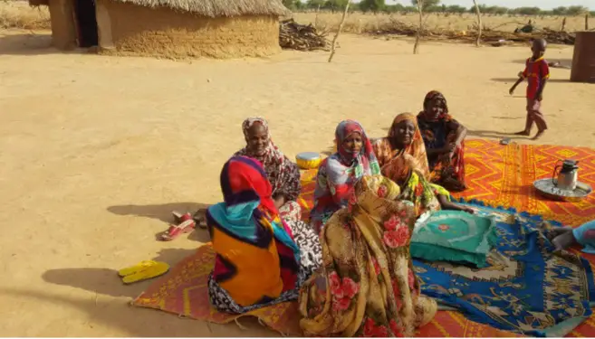 Tchad : à Al Boutal, 100 femmes bénéficient de l’appui du PRAPS et du FONAP