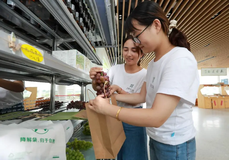 Staff members of an eco-friendly farm, which is also a scenic area, in Huzhou city, east China’s Zhejiang province, put a bunch of grapes into a paper bag. All of the products bought from the farm are packed in degradable plastic bags and paper bags, Sept. 2, 2021. (Photo by Wang Jiehan/People’s Daily Online)