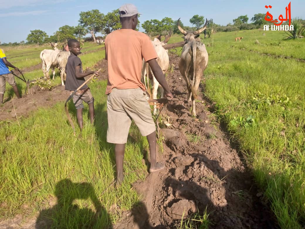 Illustration © Alwihda Info Illustration © Alwihda Info