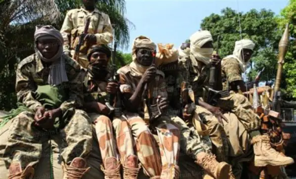 Des rebelles de la Séléka en Centrafrique. Crédit photo : Sources