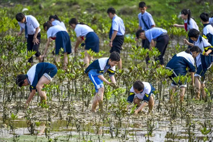 Nearly 100 middle school students and volunteers take part in a wetland protection-themed educational activity at an area of a project launched to return aquaculture ponds to forests in Yanfeng township, Meilan district, Haikou city, capital of south China’s Hainan province, planting trees for the local mangrove wetland, March 11, 2021. (Photo by Wang Chenglong/People’s Daily Online)