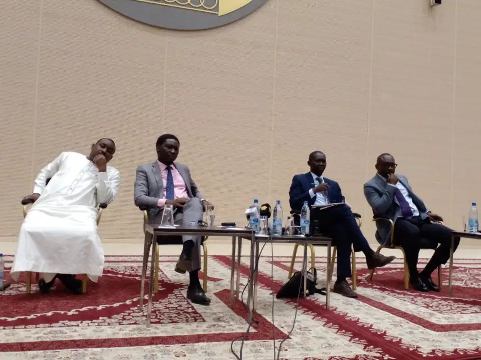 Tchad : les 4 ex-activistes de la diaspora face aux médias