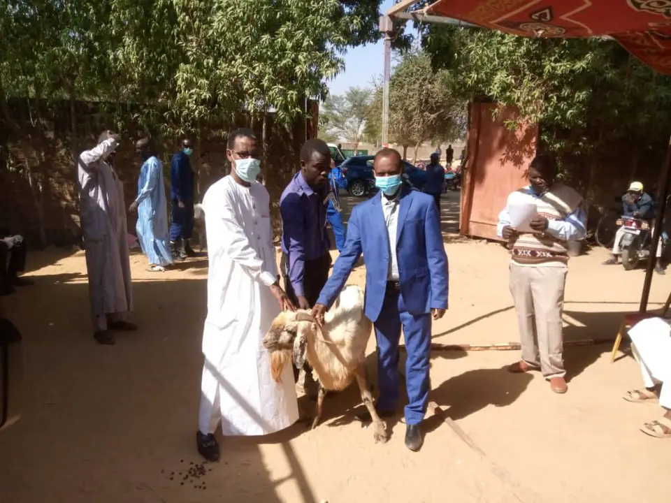 N'Djamena : la mairie du 9e arrondissement offre 126 cabris pour les fêtes