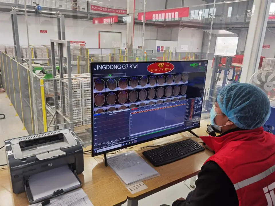 A worker checks the quality of kiwifruits via a digital screen at an intelligent supply chain center built by Chinese e-commerce giant JD.com in Wugong county, northwest China’s Shaanxi province. (Photo/Sanqin Metropolitan Daily)
