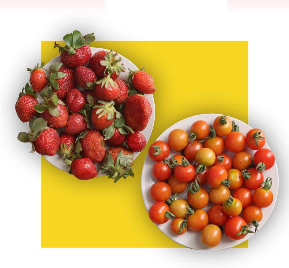 Tchad : le PCMT reçoit un généreux cadeau de Saleh Kebzabo Tchad : le PCMT reçoit un généreux cadeau de Saleh Kebzabo