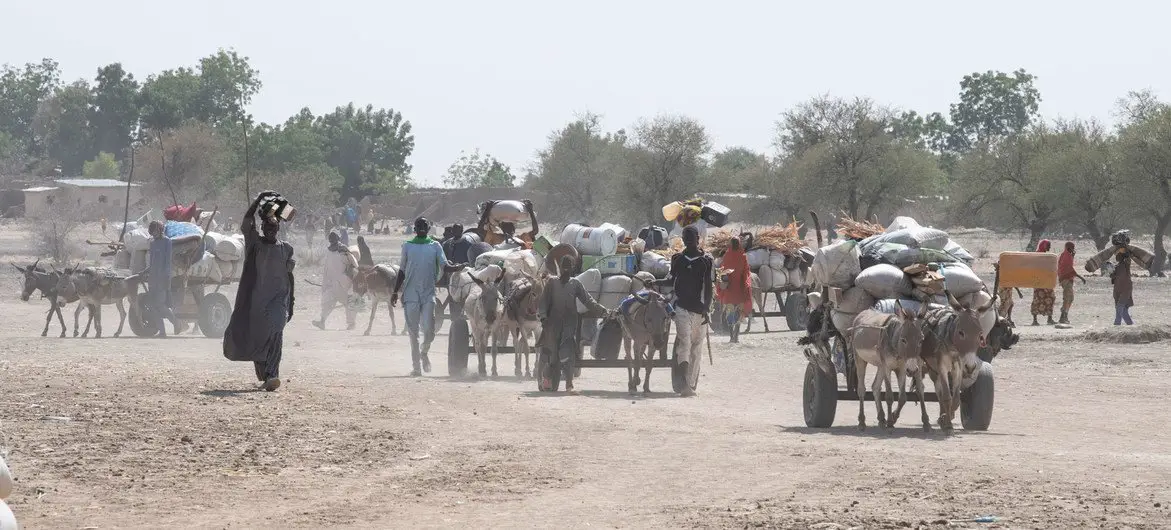 Les populations sont régulièrement déplacées dans le nord-est du Cameroun en raison des conflits. © ONU/Eskinder Debebe