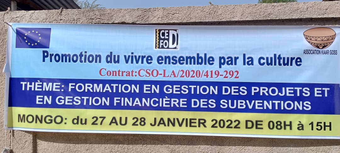 Tchad : un atelier sur le vivre ensemble et la culture à Mongo Tchad : un atelier sur le vivre ensemble et la culture à Mongo