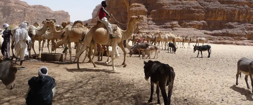 Une randonnée en chameau dans l'Ennedi. Tchad. Crédit photo : visiondumonde.org