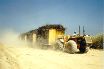 Crédit photo: proparco.fr Crédit photo: proparco.fr