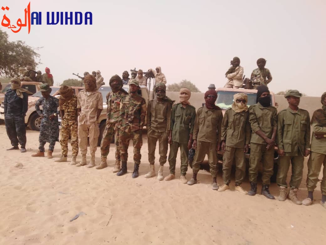 Tchad : d'ex-combattants rebelles honorés à Mao
