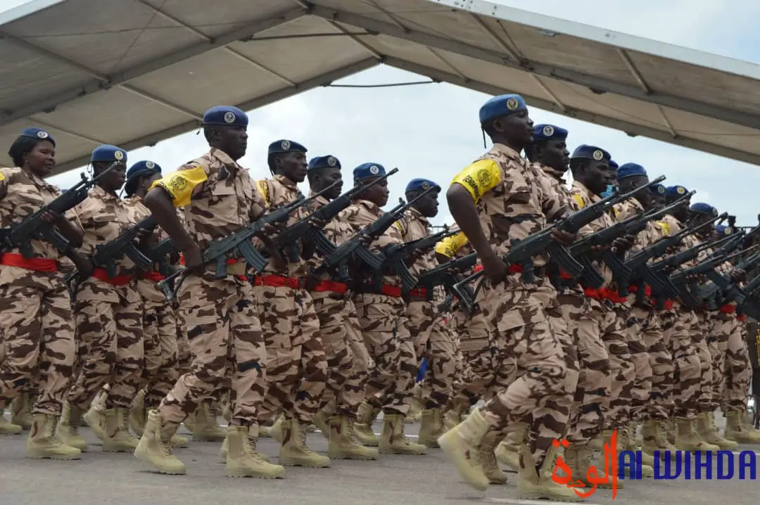 Le Tchad classé 87e puissance militaire mondiale et 13e en Afrique