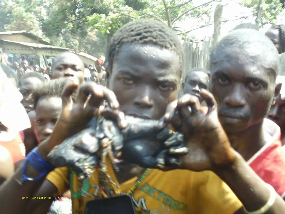 Centrafrique : De nouvelles scènes de cannibalismes