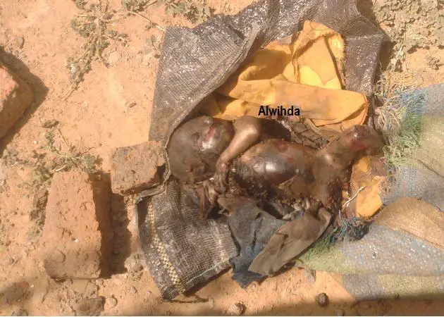 En Mars 2011, le cadavre d’un bébé retrouvé dans un sac en plastique déchiqueté en partie par des chiens. Alwihda INFO/M.A.