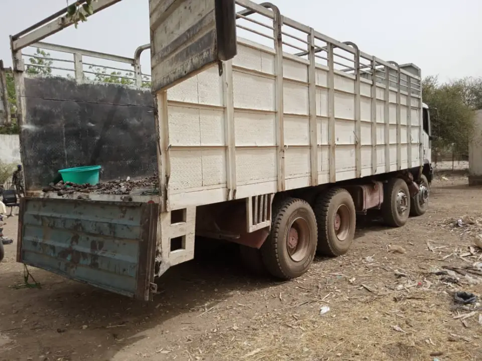 Tchad : 7 braconniers arrêtés au Guera pour trafic de viande d'antilopes et phacochères