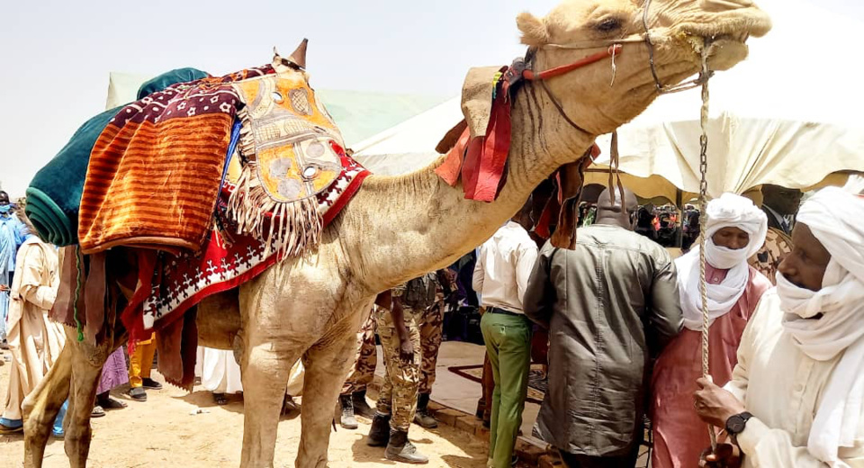 Tchad : Dourwé Fadandi intronisé chef de canton Youé au Mayo Kebbi Est