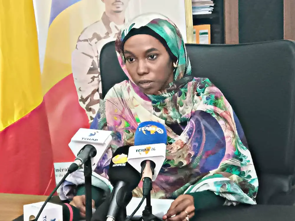Tchad : le ministre des Transports instruit le BNFT sur le bon de chargement