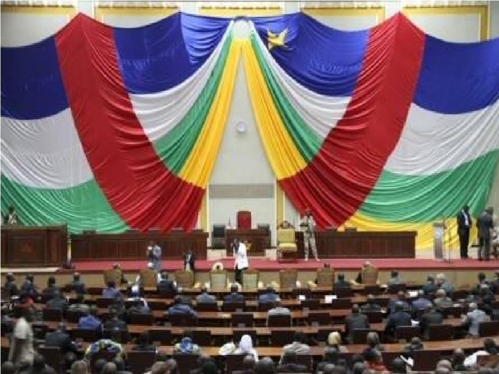 Le Tchad dans le collimateur des conseillers nationaux de Transition (CNT) en RCA