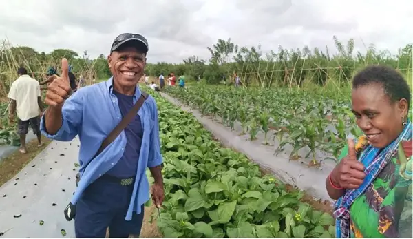In September 2019, the Chinese government launched a foreign aid human resource development cooperation project in Vanuatu, under which Chinese experts taught agricultural technicians in Vanuatu how to build, use and maintain vegetable greenhouses, in a bid to help local people effectively solve the difficulty in planting vegetables during the rainy season. (Photo/China International Development Cooperation Agency)