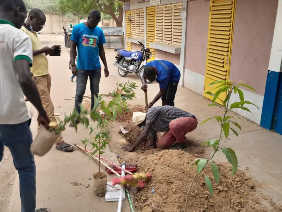 Tchad : des jeunes de plus en plus engagés pour la protection de l'environnement