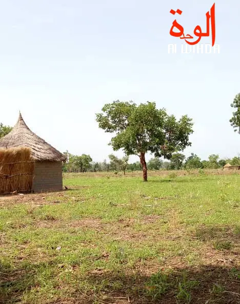 Tchad : 3 personnes meurent foudroyées en une semaine au Mayo Kebbi Ouest