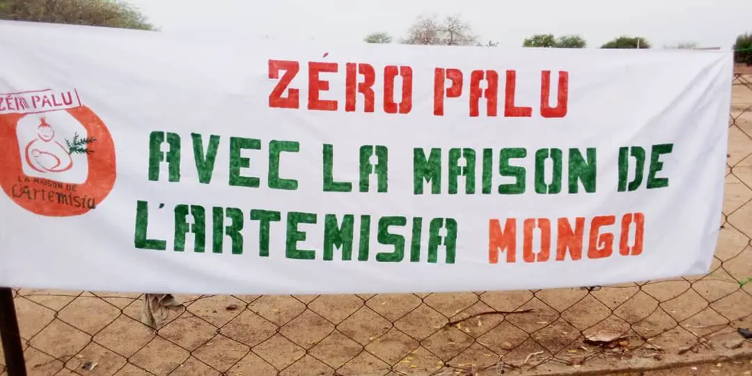 Tchad : au Guera, l’artemisia mise en avant contre le paludisme
