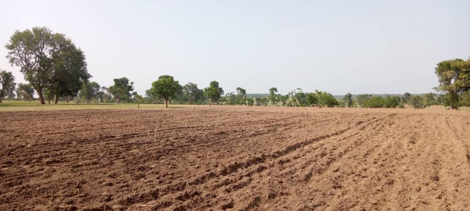 Tchad : un homme de 90 ans assassiné au Mayo Kebbi Ouest, 6 millions Fcfa emportés