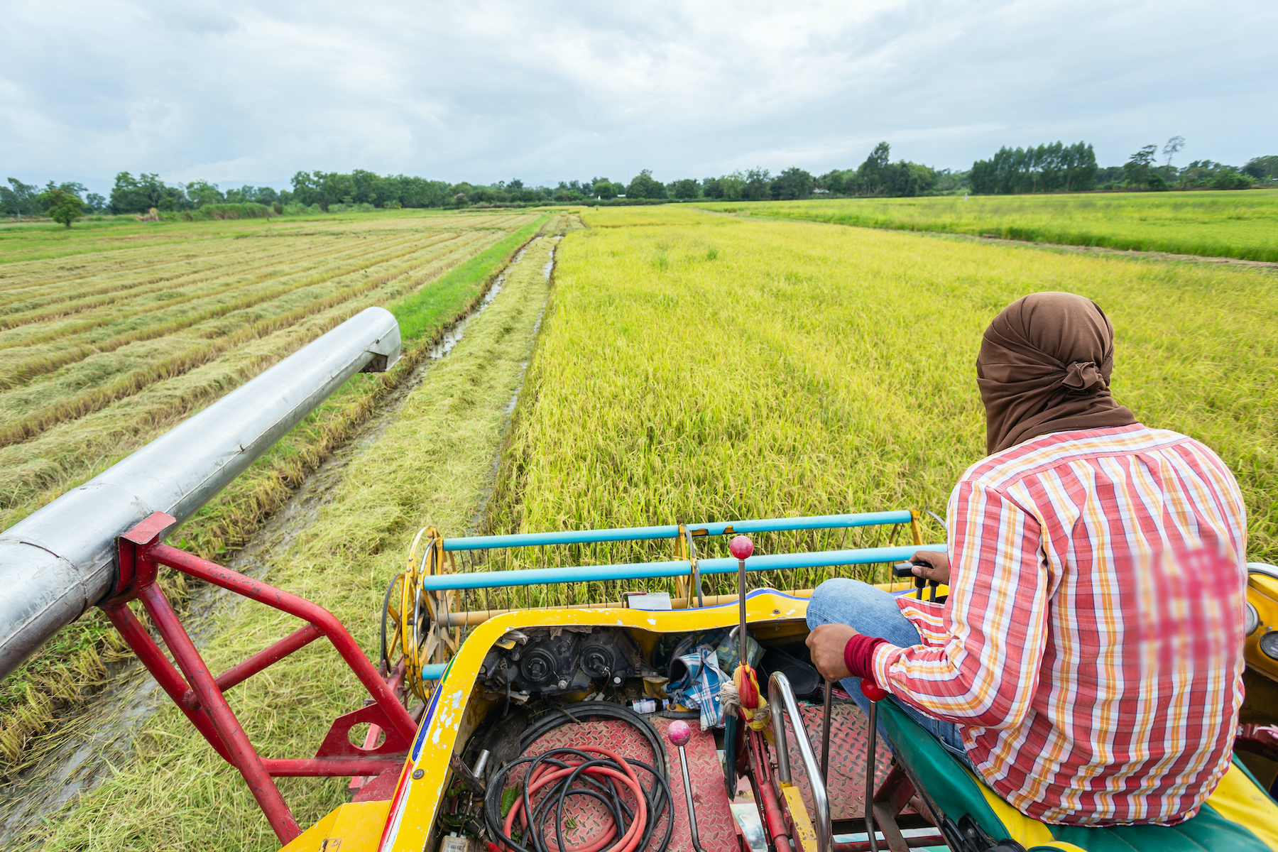 Nigeria : un prêt de 134 millions de dollars pour booster la production alimentaire