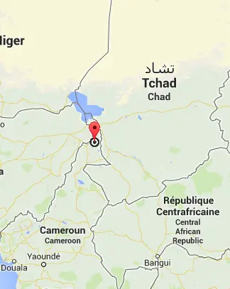 Cameroun : Nouvelle attaque de Boko Haram près de la frontière tchadienne