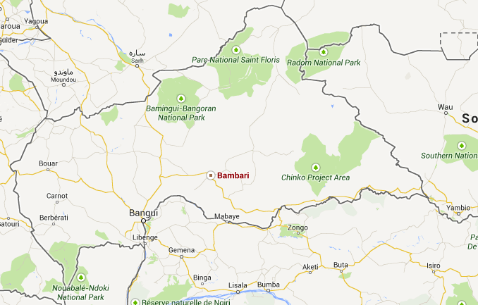 Nord-RCA : "Nous avons mis en place une structure pour contrôler la zone, pour éviter l'anarchie" Nord-RCA : "Nous avons mis en place une structure pour contrôler la zone, pour éviter l'anarchie"