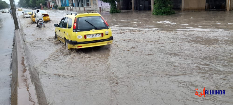 Tchad : les autorités invoquent le "dérèglement climatique" face aux inondations Tchad : les autorités invoquent le "dérèglement climatique" face aux inondations