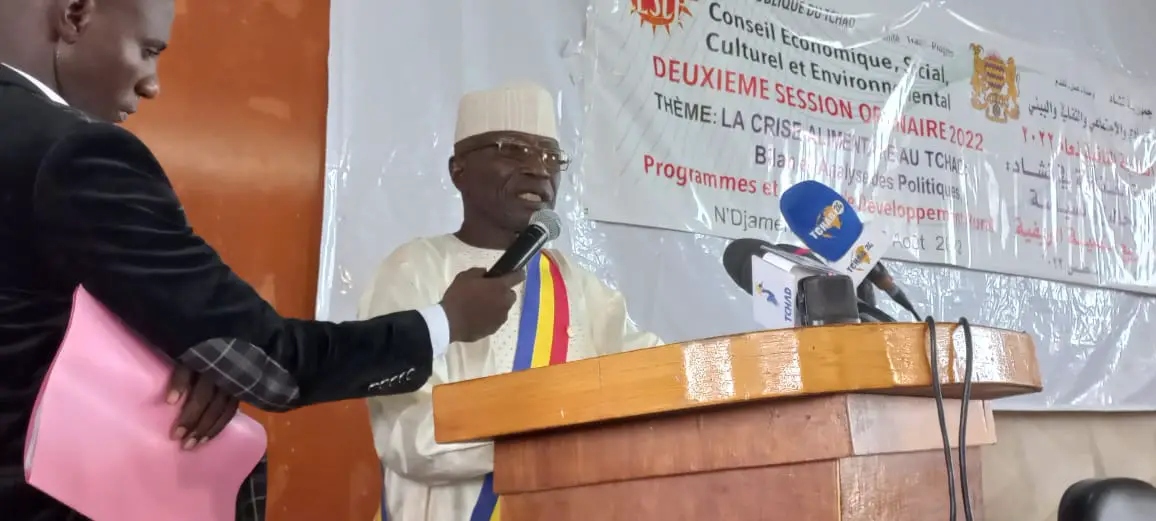 Tchad : le CESE s'alarme de la crise alimentaire et la "précarité indescriptible"