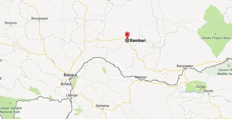 RCA : Manifestation à Bambari, Sangaris "a tiré sur la population" (Porte-parole Séléka)