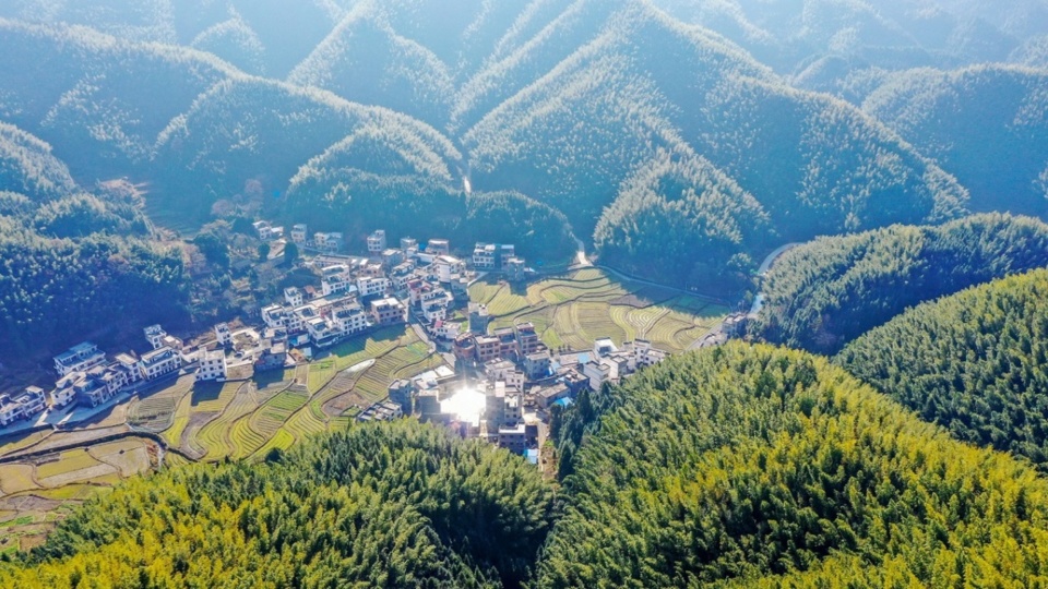 Photo shows a bamboo forest in Qianmaping village, Jinling township, Xintian county, Yongzhou, central China's Hunan province. Hunan province has launched a “forest chief” scheme to develop rural tourism and promote rural vitalization with ecological resources. (Photo by Zhong Weifeng/People's Daily Online)