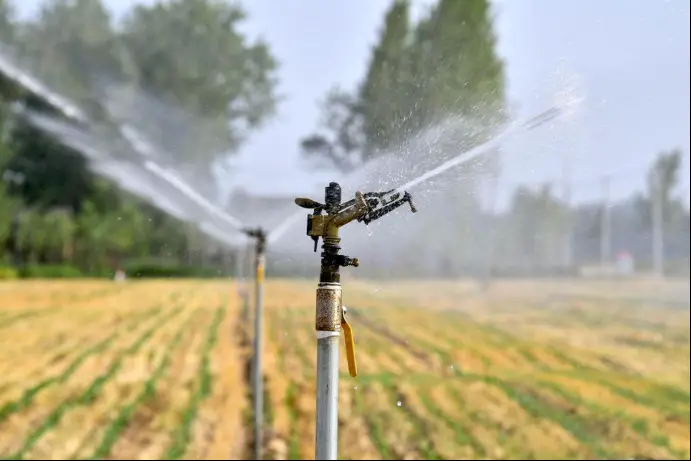 Photo taken on June 20, 2022 shows an automatic irrigation system in an unattended farmland in Zhaoqiao township, Qiaocheng district, Bozhou, east China's Anhui province. (Photo by Liu Qinli/People's Daily Online)