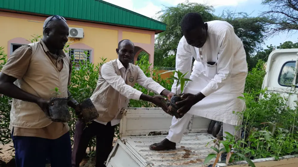 Tchad : des plantes distribuées aux ménages à Ati contre l’avancée du désert