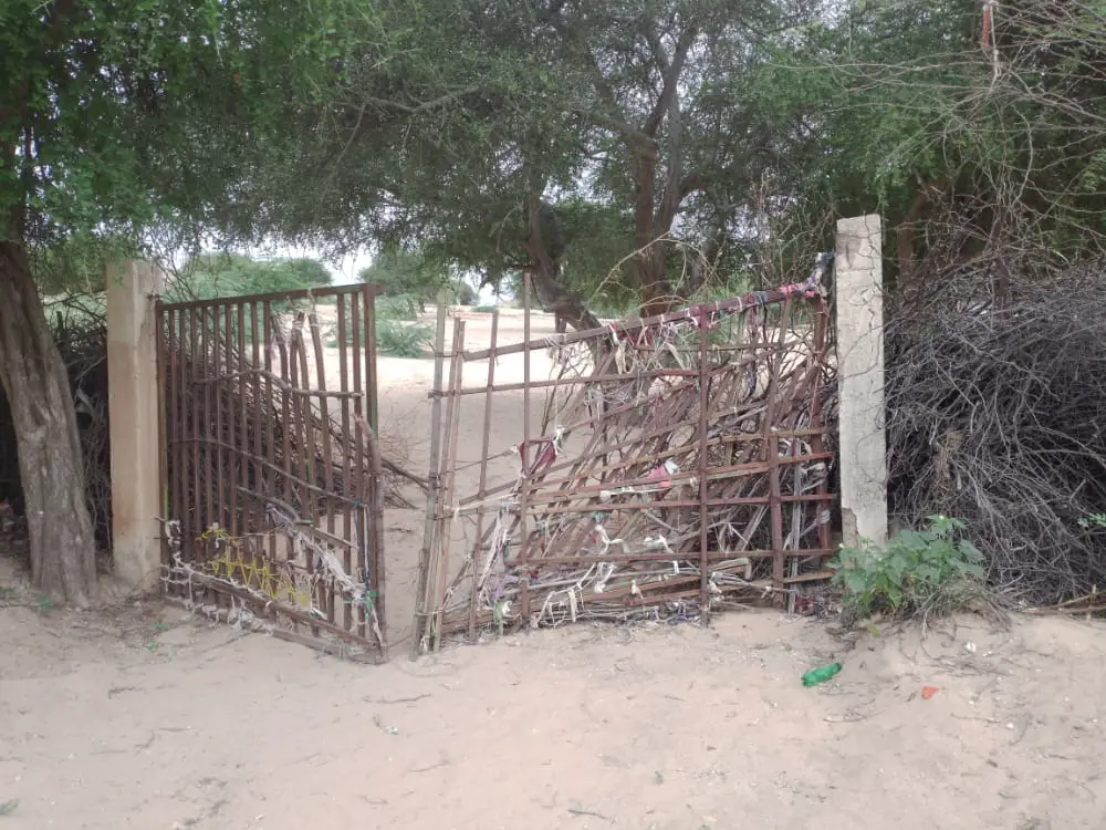 Tchad : la pépinière centrale de Mao rencontre des difficultés
