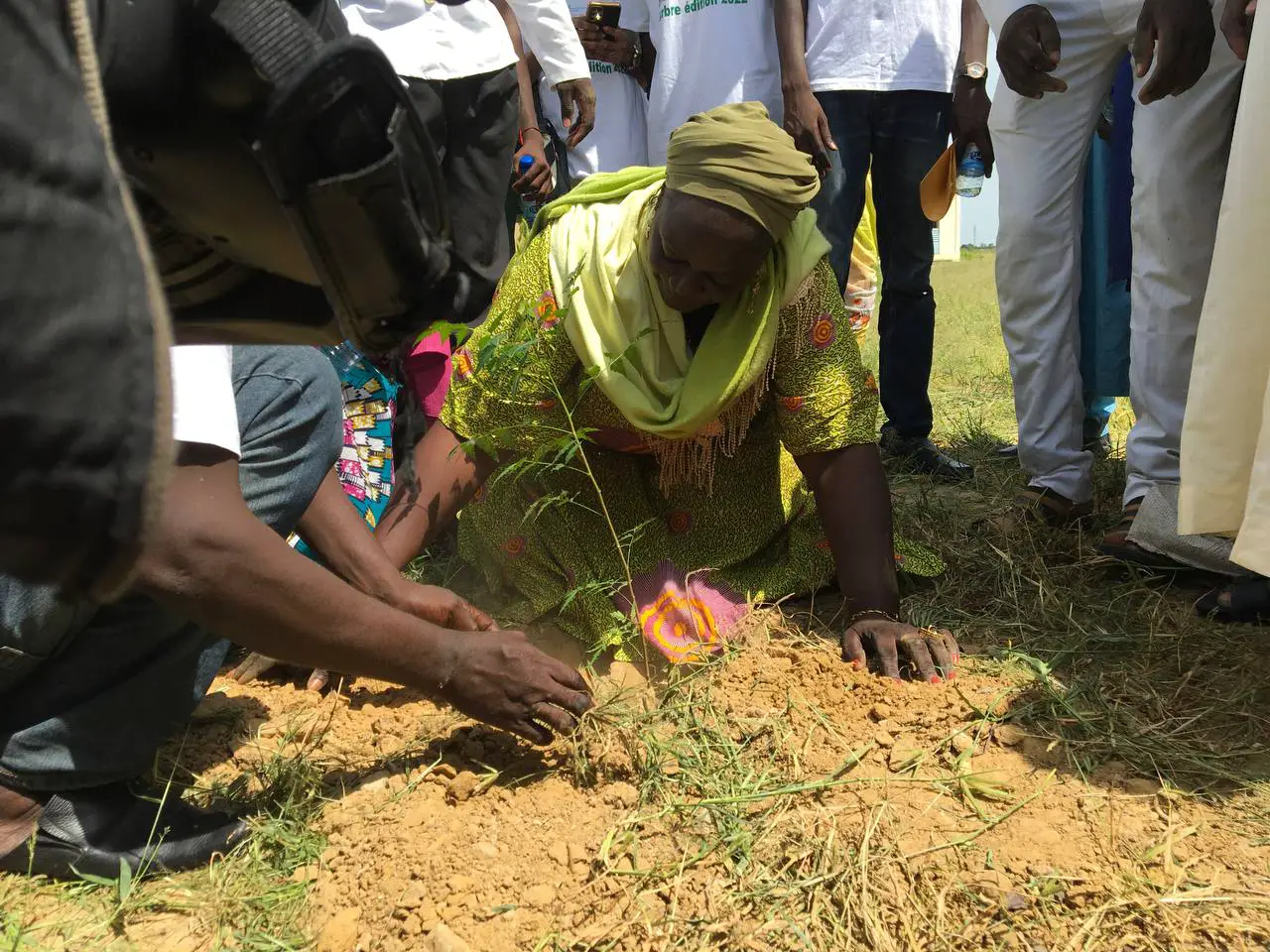Tchad : l'AJAPE relève le défi écologique en plantant des arbres à la faculté de Toukra
