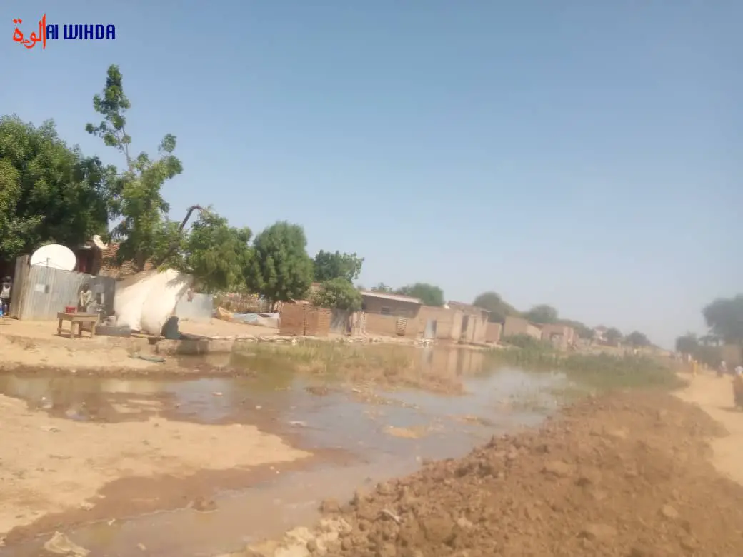 N'Djamena : le quartier Gassi menacé par la crue du fleuve