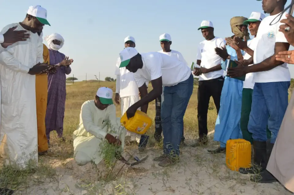 Tchad : l'Agence de la grande muraille verte lance la campagne de reboisement au Lac