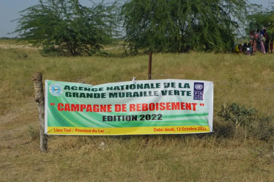 Tchad : l'Agence de la grande muraille verte lance la campagne de reboisement au Lac