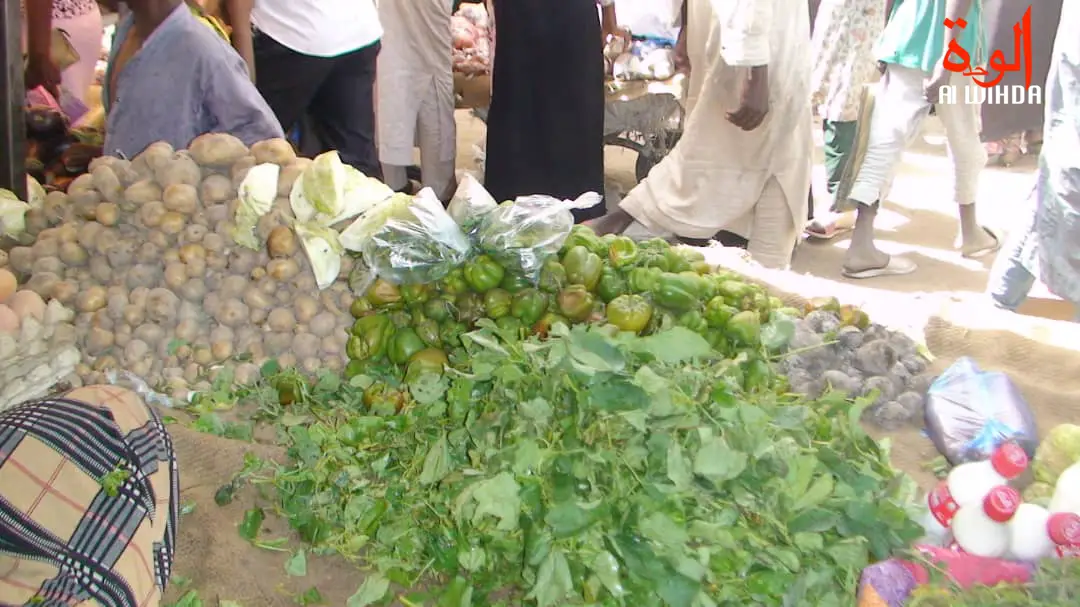 Tchad : 63 milliards Fcfa de la Banque mondiale pour renforcer la sécurité alimentaire