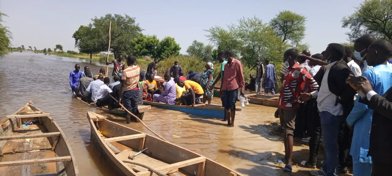 Tchad : les inondations génèrent des activités pour les jeunes chômeurs de N'Djamena