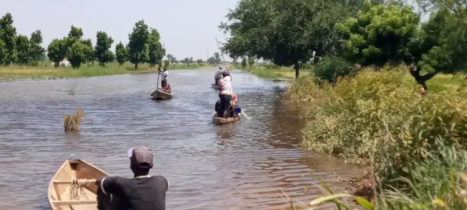 Tchad : les inondations génèrent des activités pour les jeunes chômeurs de N'Djamena