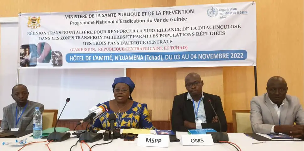 Tchad : le gouvernement renforce la surveillance du ver de Guinée dans les zones transfrontalières