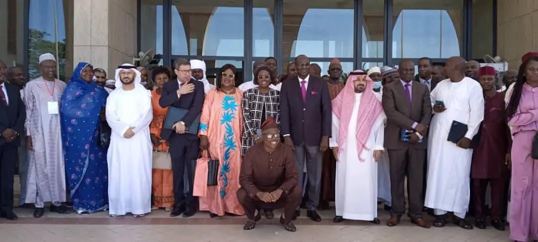 Tchad : 14ème assemblée générale annuelle de l'organisation des services géologiques africains