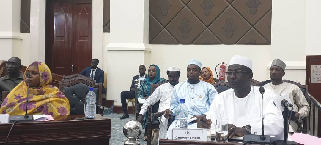 Tchad : le CNT approuve la réforme de la Société nationale des mines et de la géologie