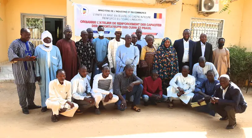 Tchad : l'UMOCIRT outille les exportateurs des cuirs et peaux en commerce international